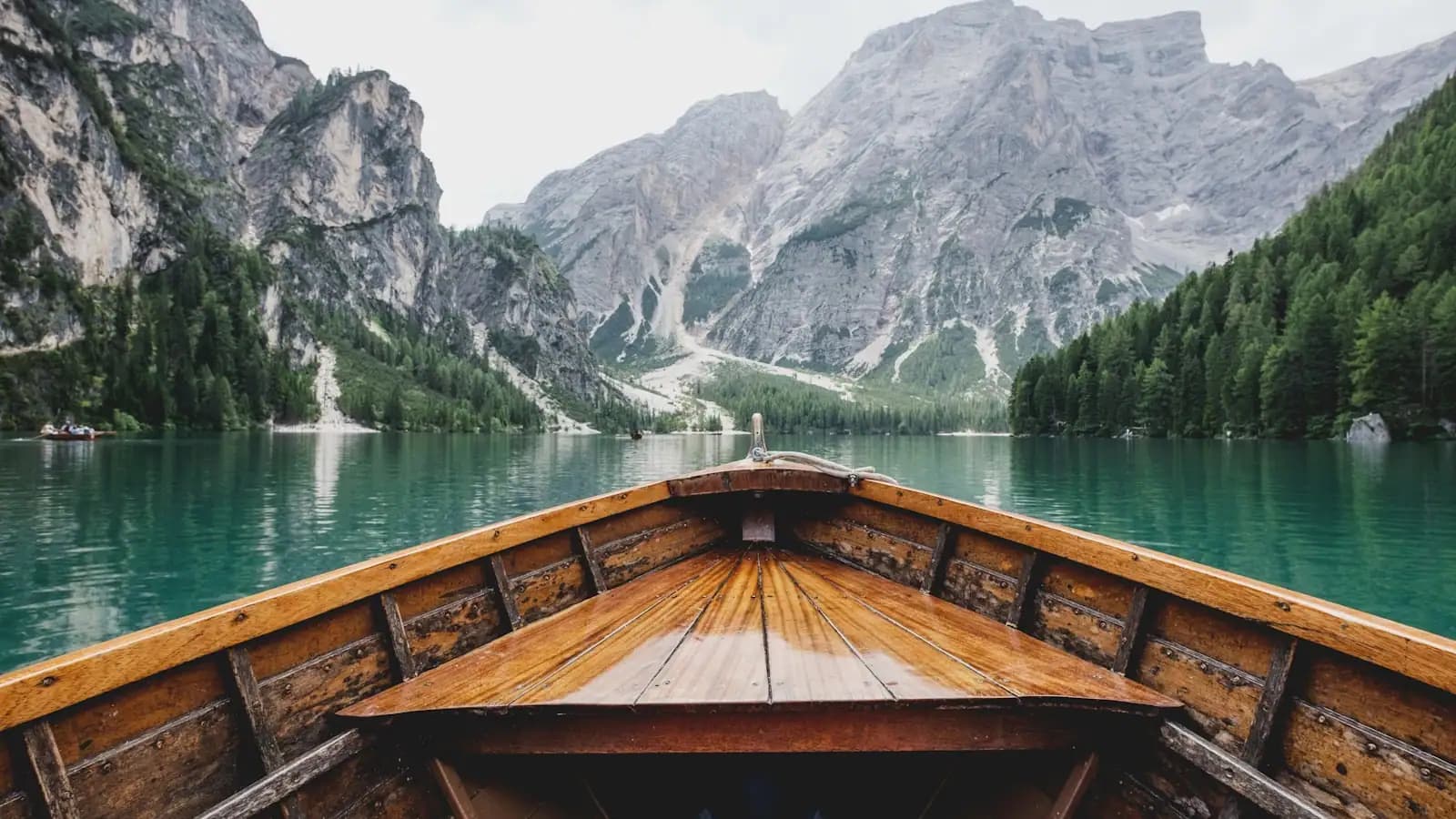A row of parked food trucks on a rural roadside with picnic tables and hand-painted menu boards