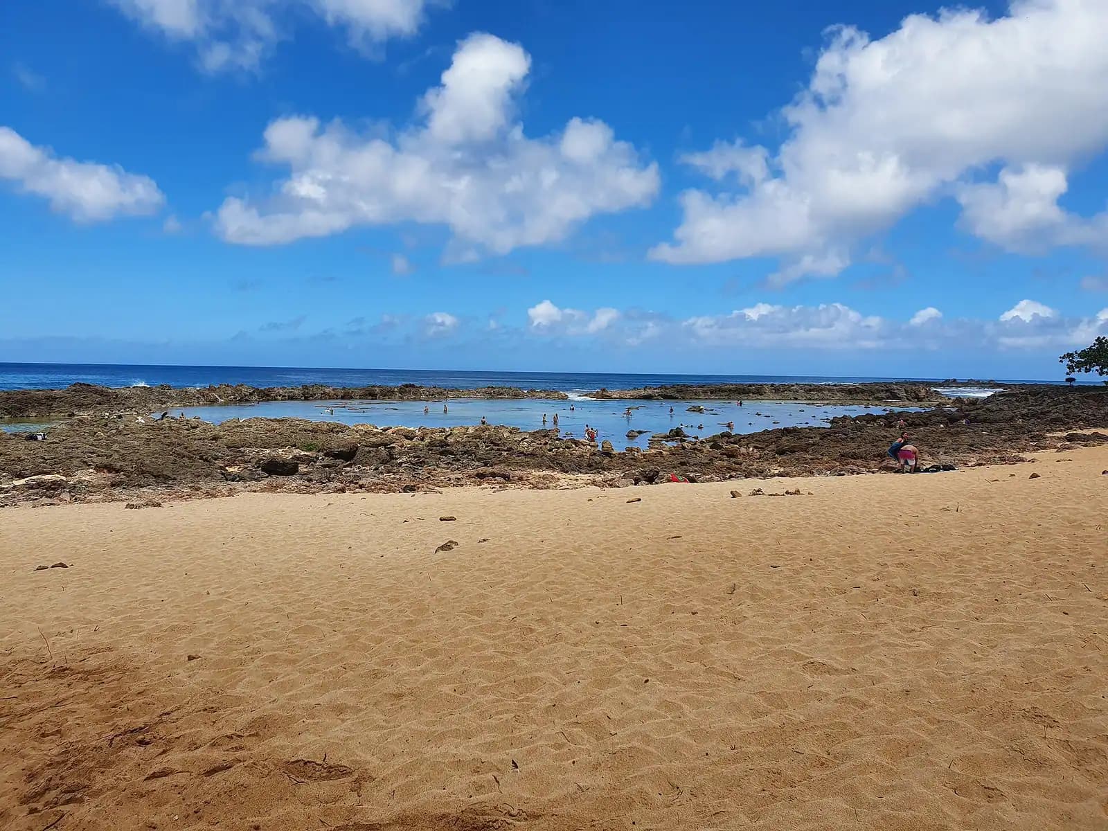 Reef fish moving over shallow lava structure in very clear water close to shore