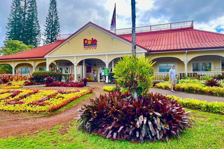 Oahu: Roundtrip Shuttle From Waikiki to Dole Plantation & Haleiwa